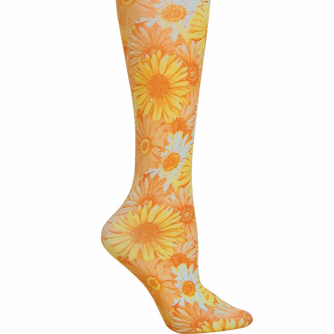 Yellow Daisies