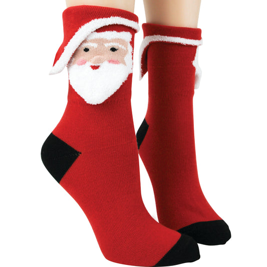 3 Dimensional Santa