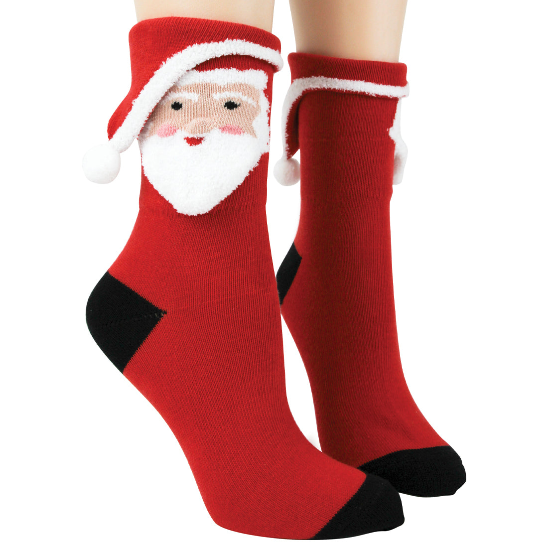 3 Dimensional Santa