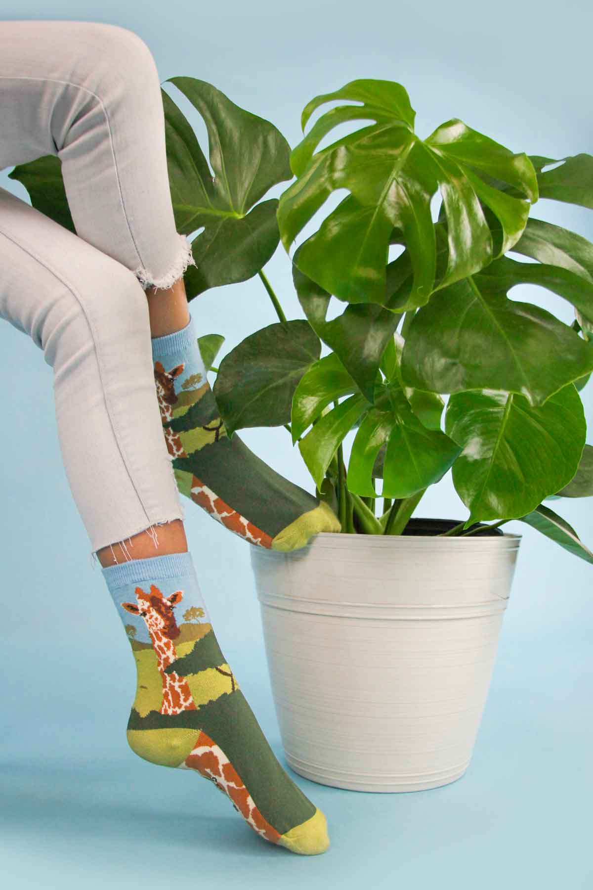 kid wearing white jeans and giraffe socks, with feet perched on a potted plant.