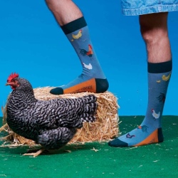 Men's Rooster Socks lifestyle