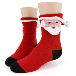 Youth 3D Santa Socks