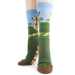 front view of giraffe socks